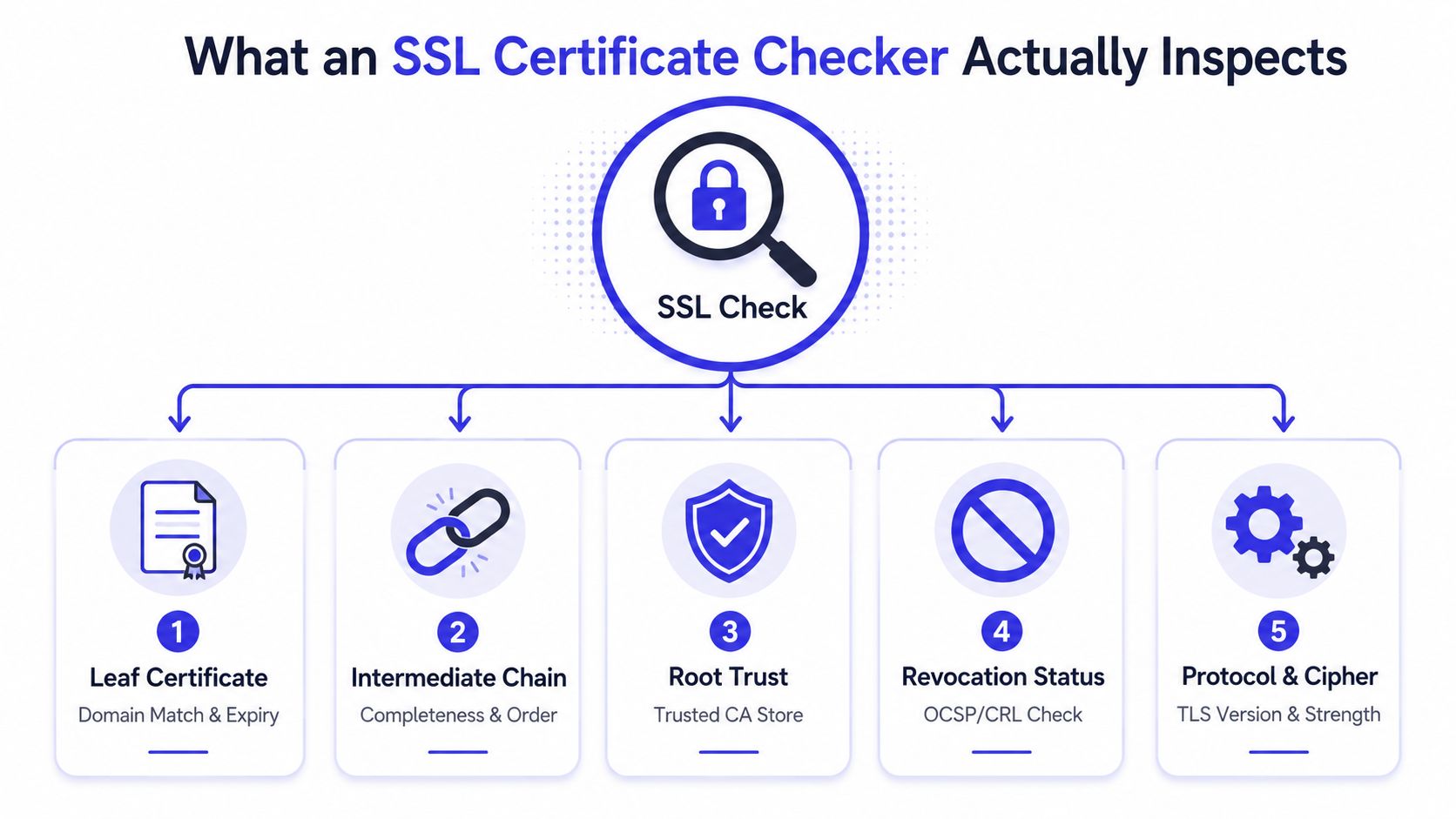 An infographic showing the five key components that an SSL certificate checker inspects for website security.